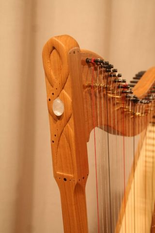 Schoenfeld 2024-22.jpg