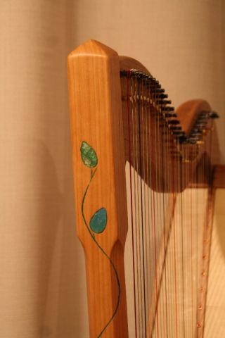 Schoenfeld 2024-23.jpg