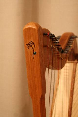 Schoenfeld 2024-24.jpg