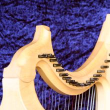 Gotische Harfe Hals-1.jpg