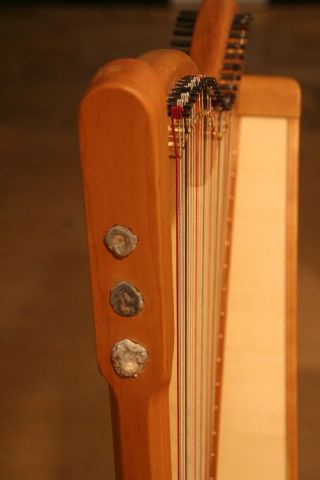 Schoenfeld 2024-18.jpg