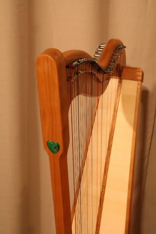 Schoenfeld 2024-19.jpg